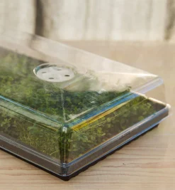 Lee Valley Seed Starting><noscript><img width=