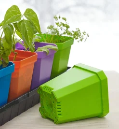 Lee Valley Seed Starting><noscript><img width=