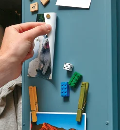 Lee Valley Magnets|Magnets><noscript><img width=