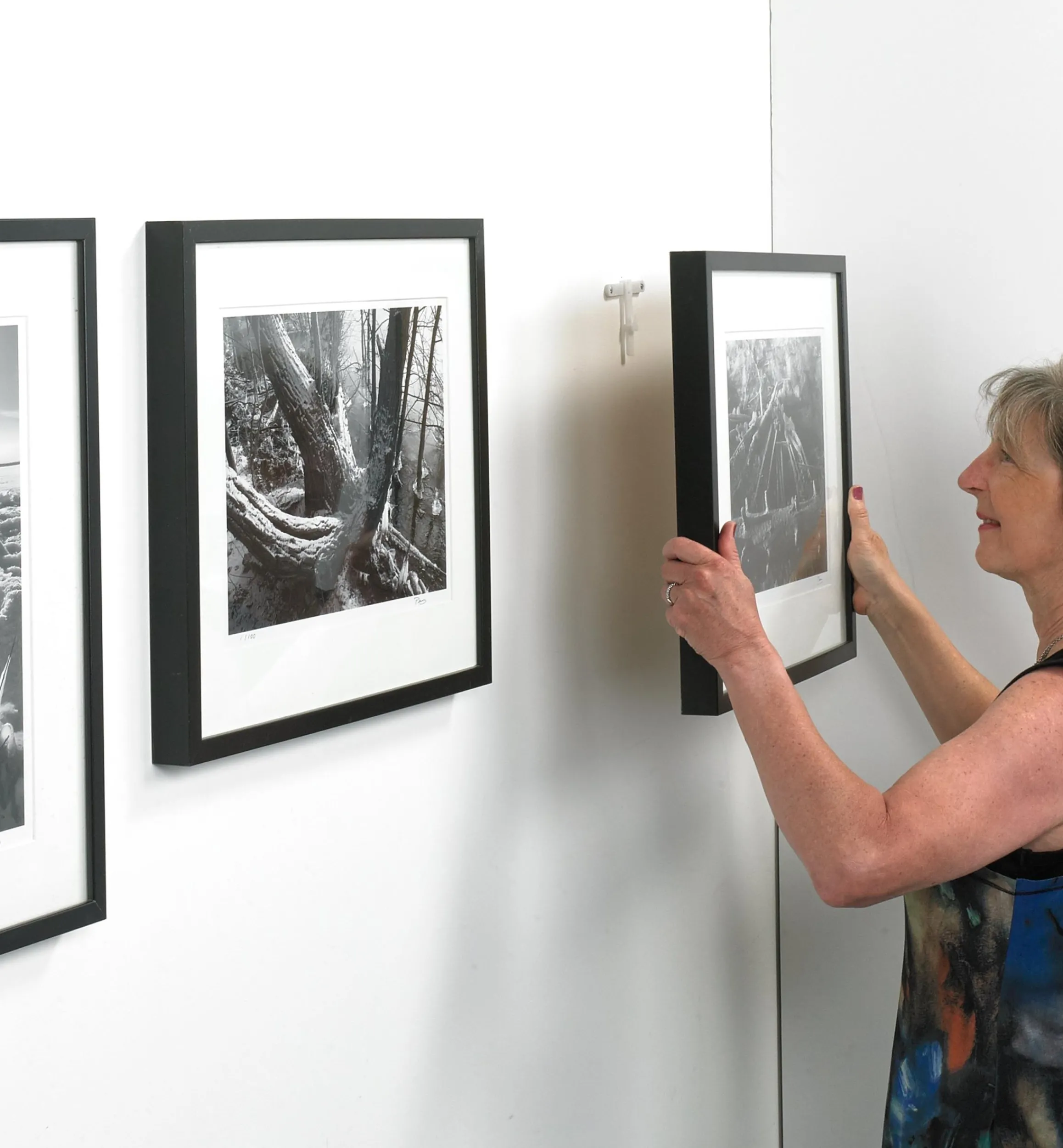 Lee Valley Picture Hanging>Adjustable Picture-Hanging Kit