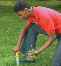 Lee Valley Weeding><noscript><img width=