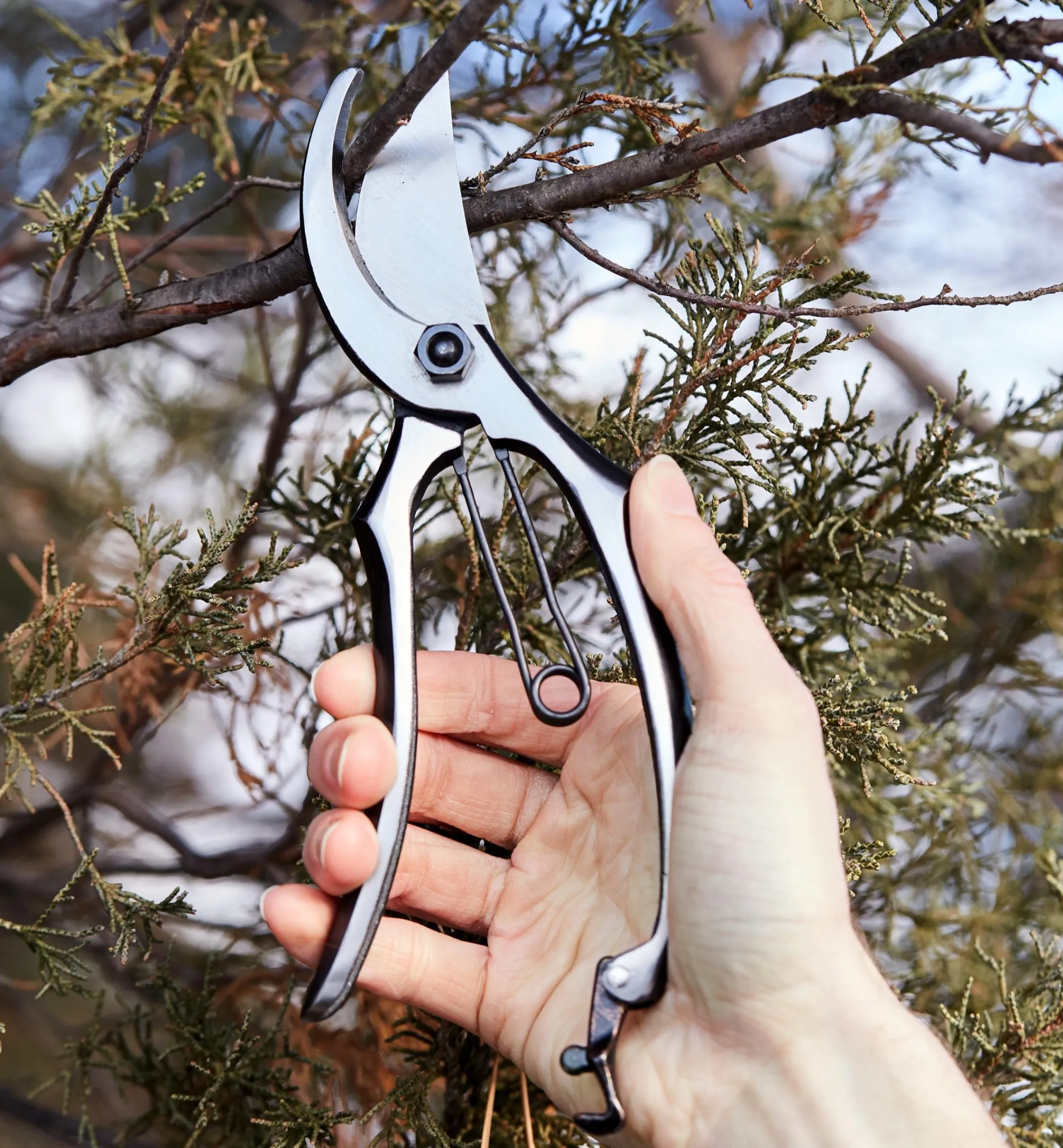 Lee Valley Pruners>All-Steel Bypass Pruner