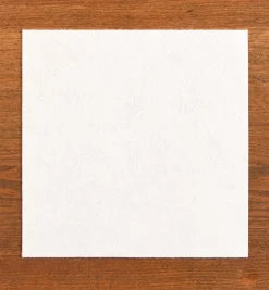 Lee Valley Workshop>Anti-Corrosion Emitter Pad