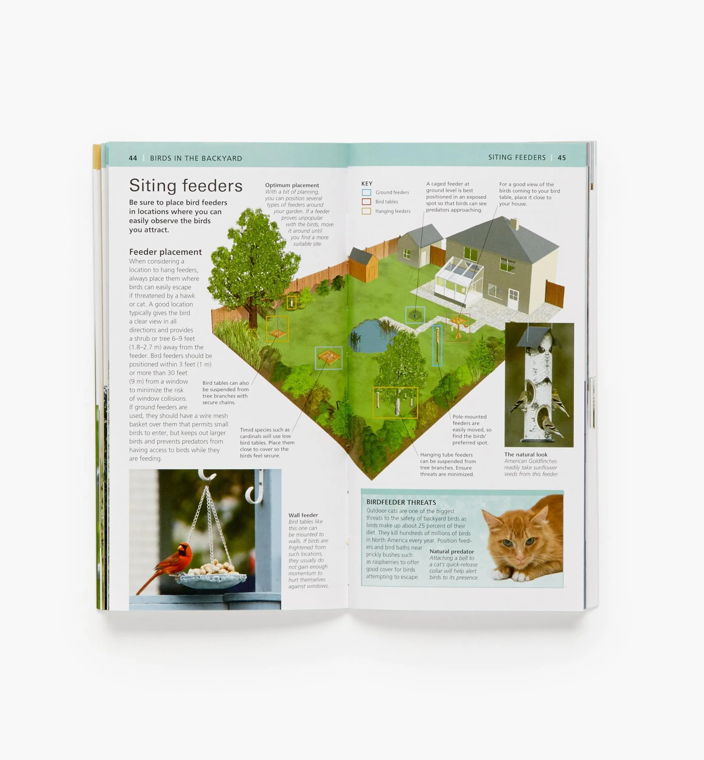 Lee Valley Birding>Audubon Pocket Backyard Birdwatch