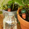 Lee Valley Indoor Gardening>Automatic Plant Waterers