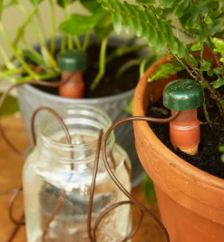 Lee Valley Indoor Gardening>Automatic Plant Waterers
