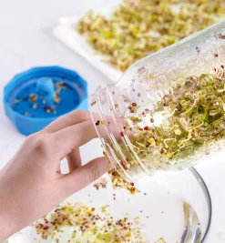 Lee Valley Seed Starting><noscript><img width=