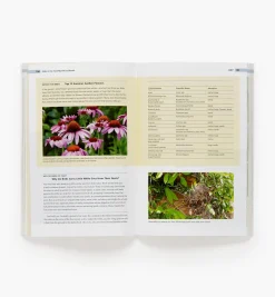 Lee Valley Birding>Birds In The Yard Month By Month