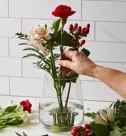 Lee Valley Indoor Gardening>Blue Ribbon Flower Holder