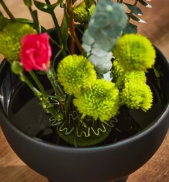 Lee Valley Indoor Gardening><noscript><img width=