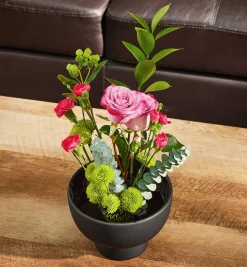 Lee Valley Indoor Gardening><noscript><img width=