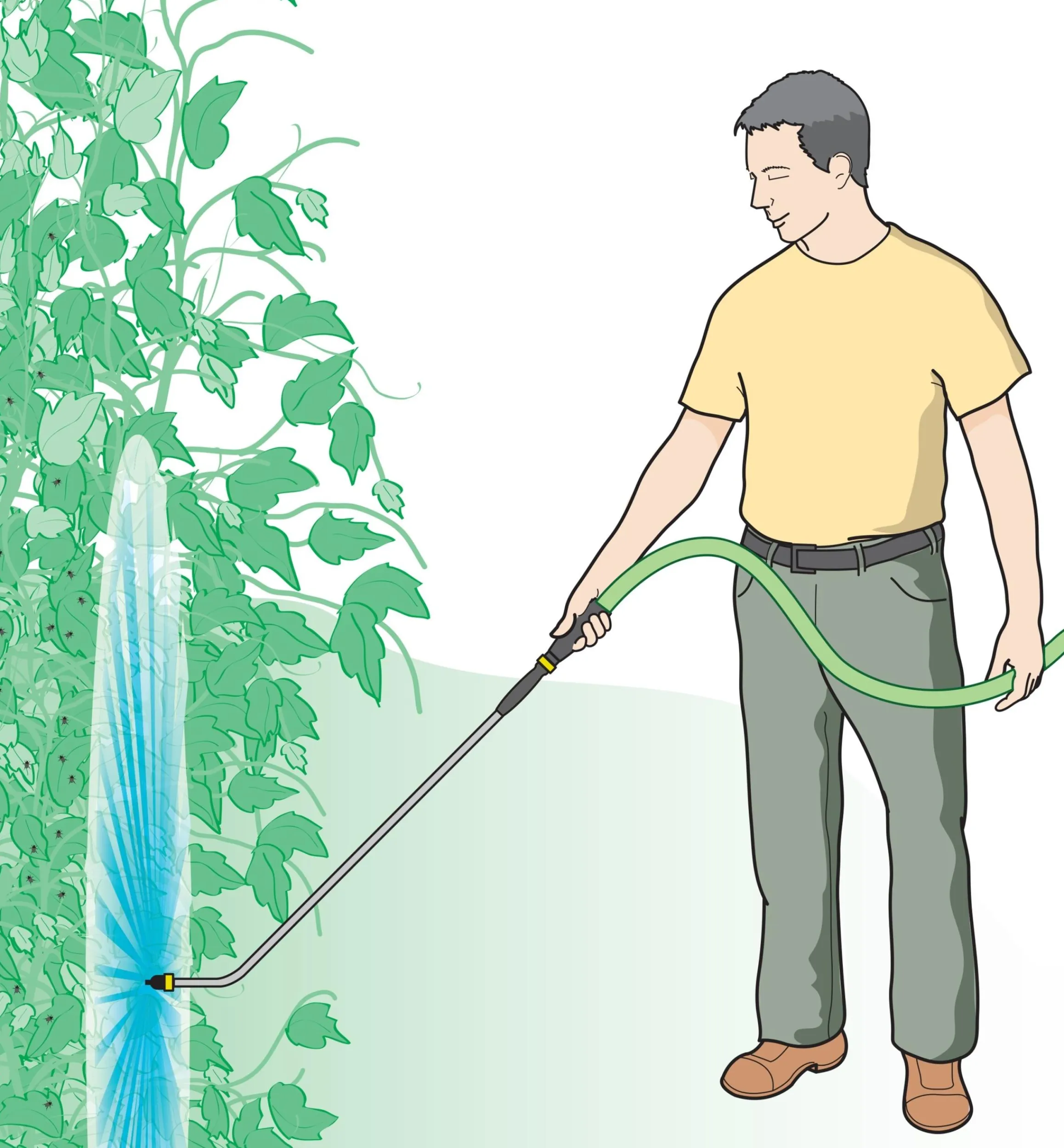 Lee Valley Pest Control>Bug Blaster & Water Wand