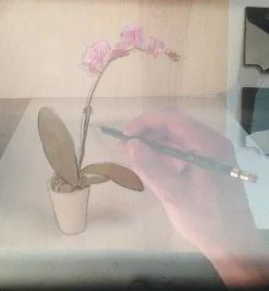 Lee Valley Toys & Games><noscript><img width=