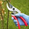 Lee Valley Pruners>Castellari Curved-Anvil Pruner