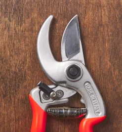 Lee Valley Pruners>Castellari Curved-Anvil Pruner