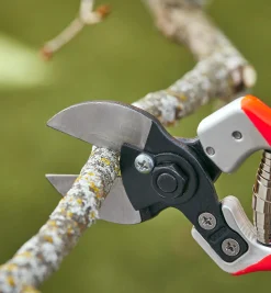 Lee Valley Pruners>Castellari Double-Bladed Pruner