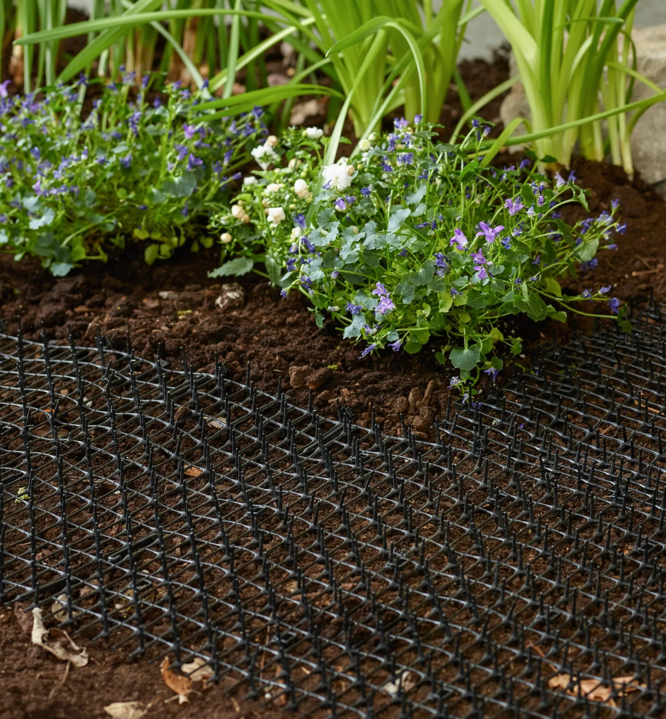 Lee Valley Pest Control>CatScat Mat