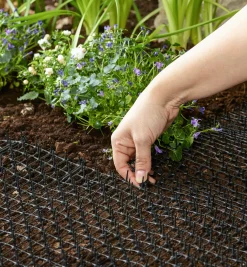 Lee Valley Pest Control><noscript><img width=