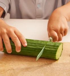 Lee Valley Knives & Cutlery>Child-Safe Knife