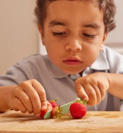 Lee Valley Knives & Cutlery><noscript><img width=