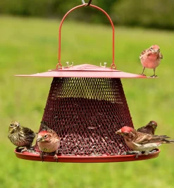 Lee Valley Birding>Collapsible Bird Feeder