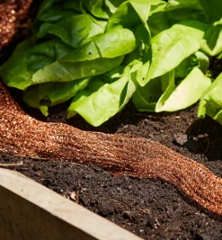 Lee Valley Pest Control>Copper Blocker