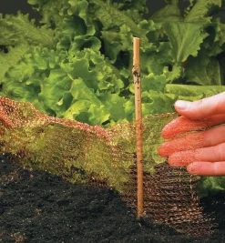 Lee Valley Pest Control><noscript><img width=