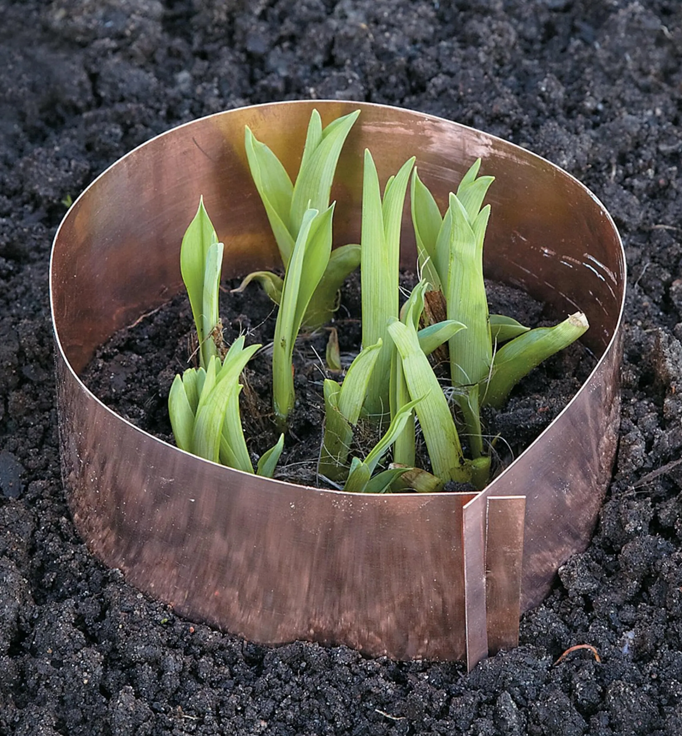 Lee Valley Pest Control>Copper Slug Rings