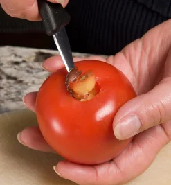 Lee Valley Kitchen Tools>Coring Tool