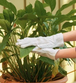 Lee Valley Home Maintenance>Cotton Utility Gloves