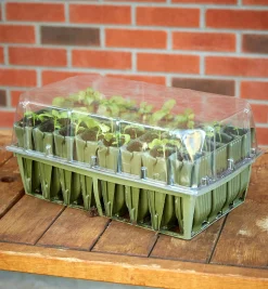 Lee Valley Propagation>Deep Rootrainers Set