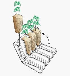 Lee Valley Propagation><noscript><img width=