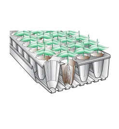 Lee Valley Seed Starting>Deep-Root Seed Starters
