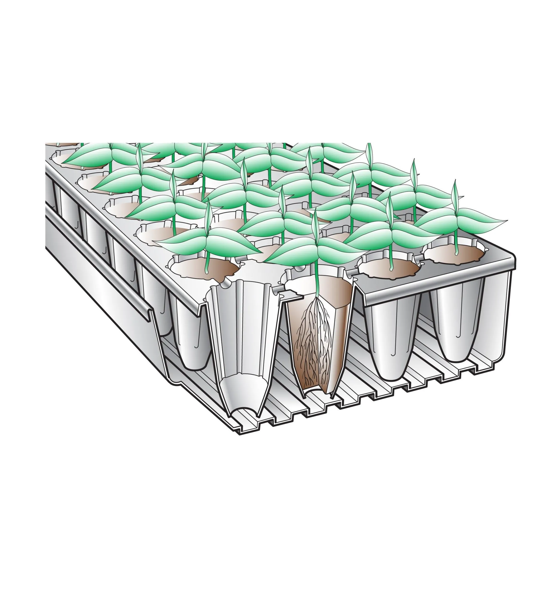 Lee Valley Seed Starting>Deep-Root Seed Starters