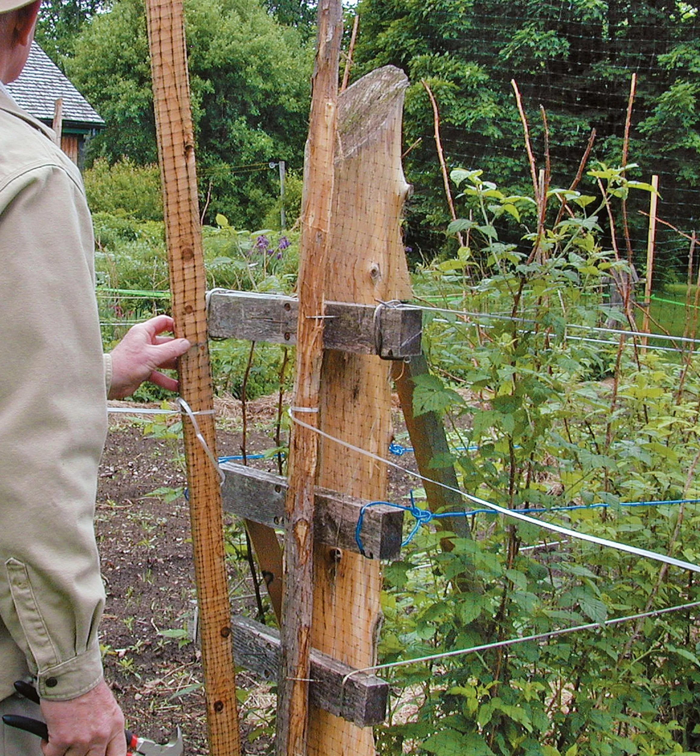 Lee Valley Pest Control>Deer Fence