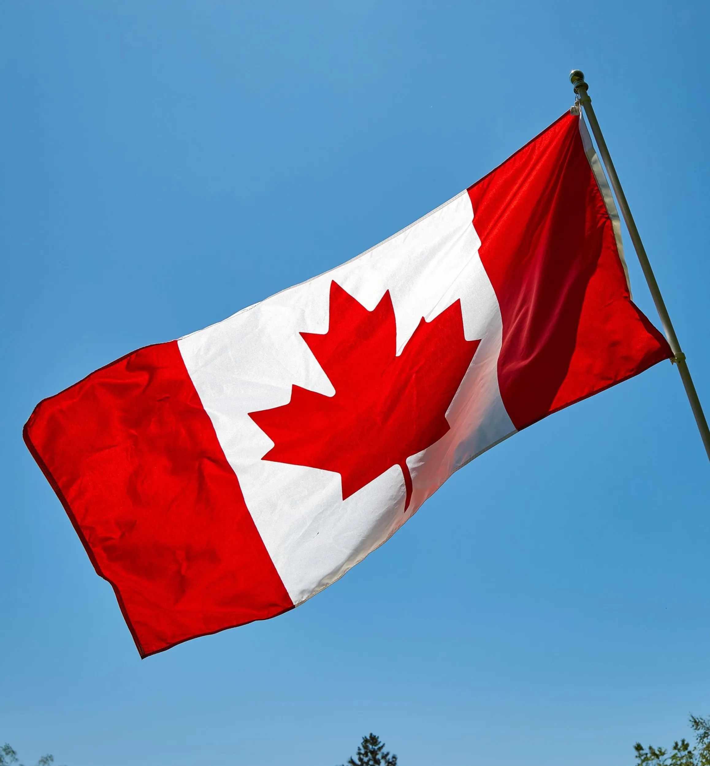 Lee Valley Outdoor Living>Deluxe Canadian Flag