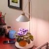 Lee Valley Grow Lights>Desktop LED Grow Lamp