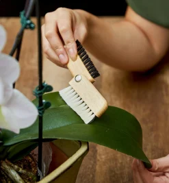 Lee Valley Cleaning><noscript><img width=