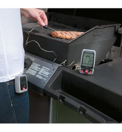 Lee Valley Thermometers>Digital Cooking Thermometer With Pager