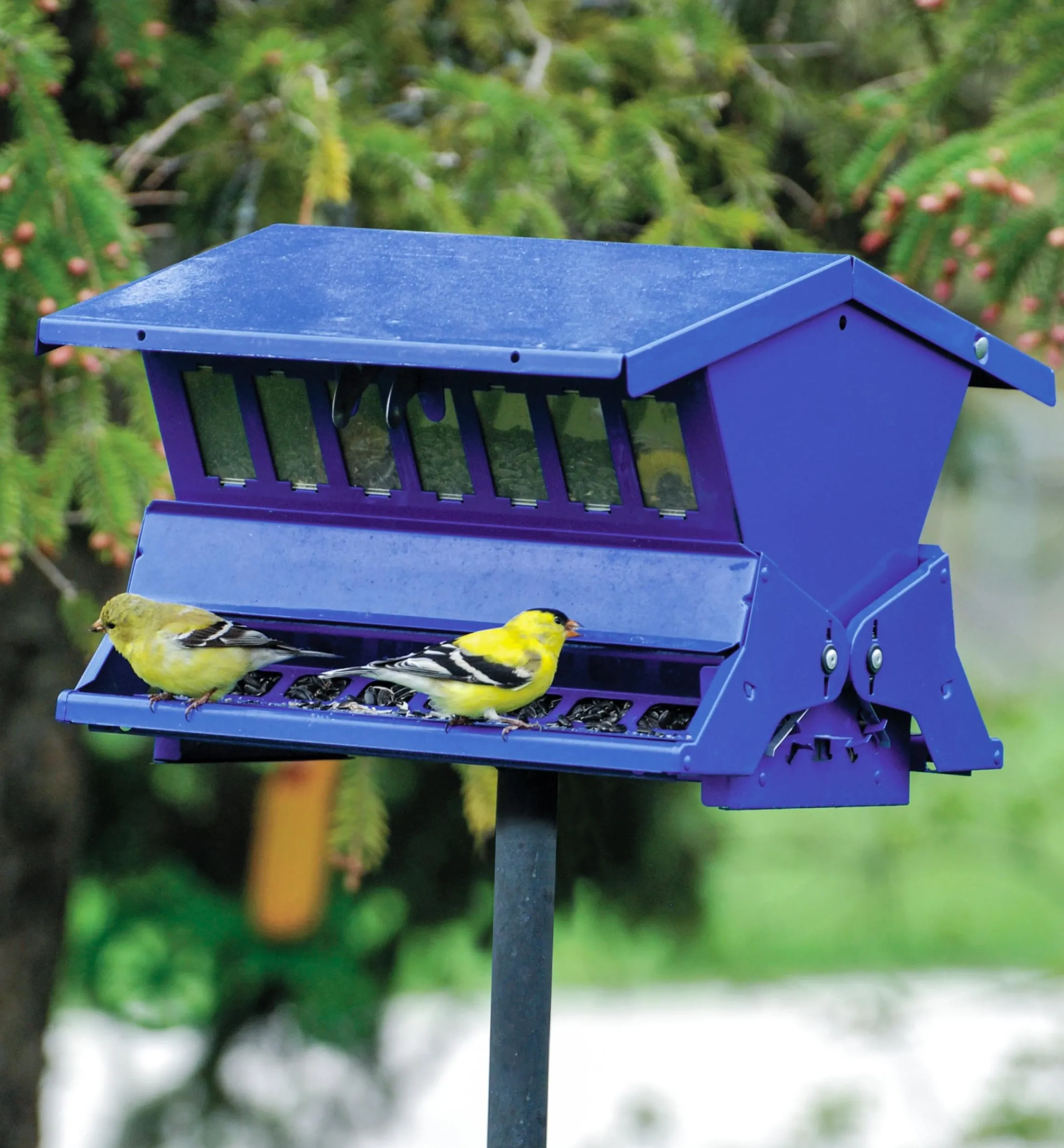 Lee Valley Birding>Double-Sided Large Squirrel-Resistant Feeder