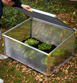 Lee Valley Plant Protection>Double-Walled Cold Frame