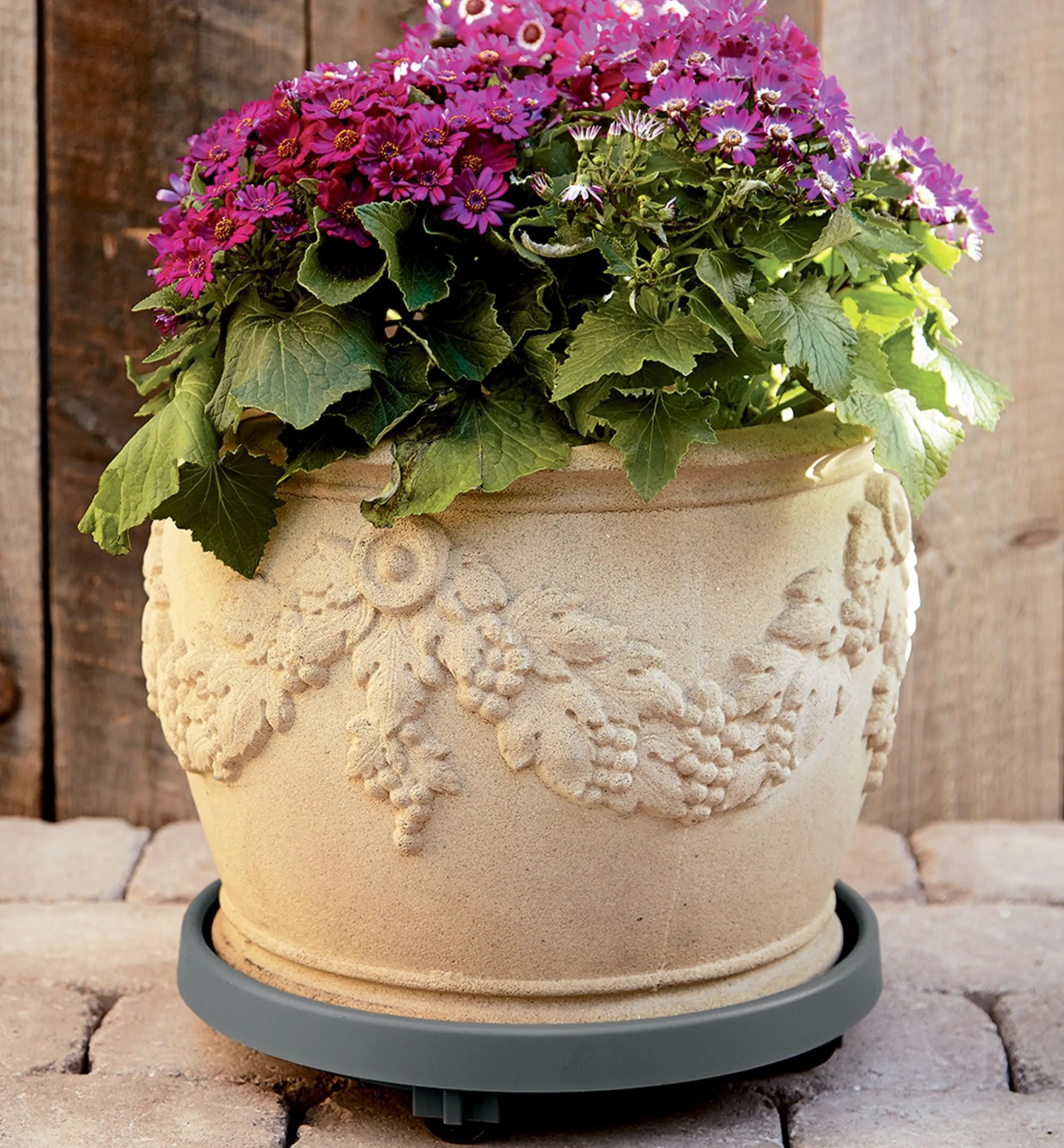 Lee Valley Container Gardening>Elho Rolling Pot Saucer
