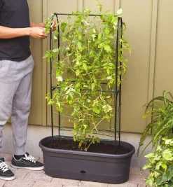 Lee Valley Container Gardening>Elho Self-Watering Planter With Trellis