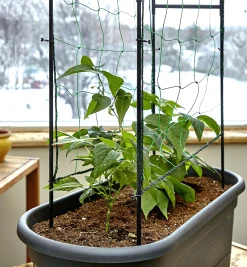 Lee Valley Container Gardening>Elho Self-Watering Planter With Trellis