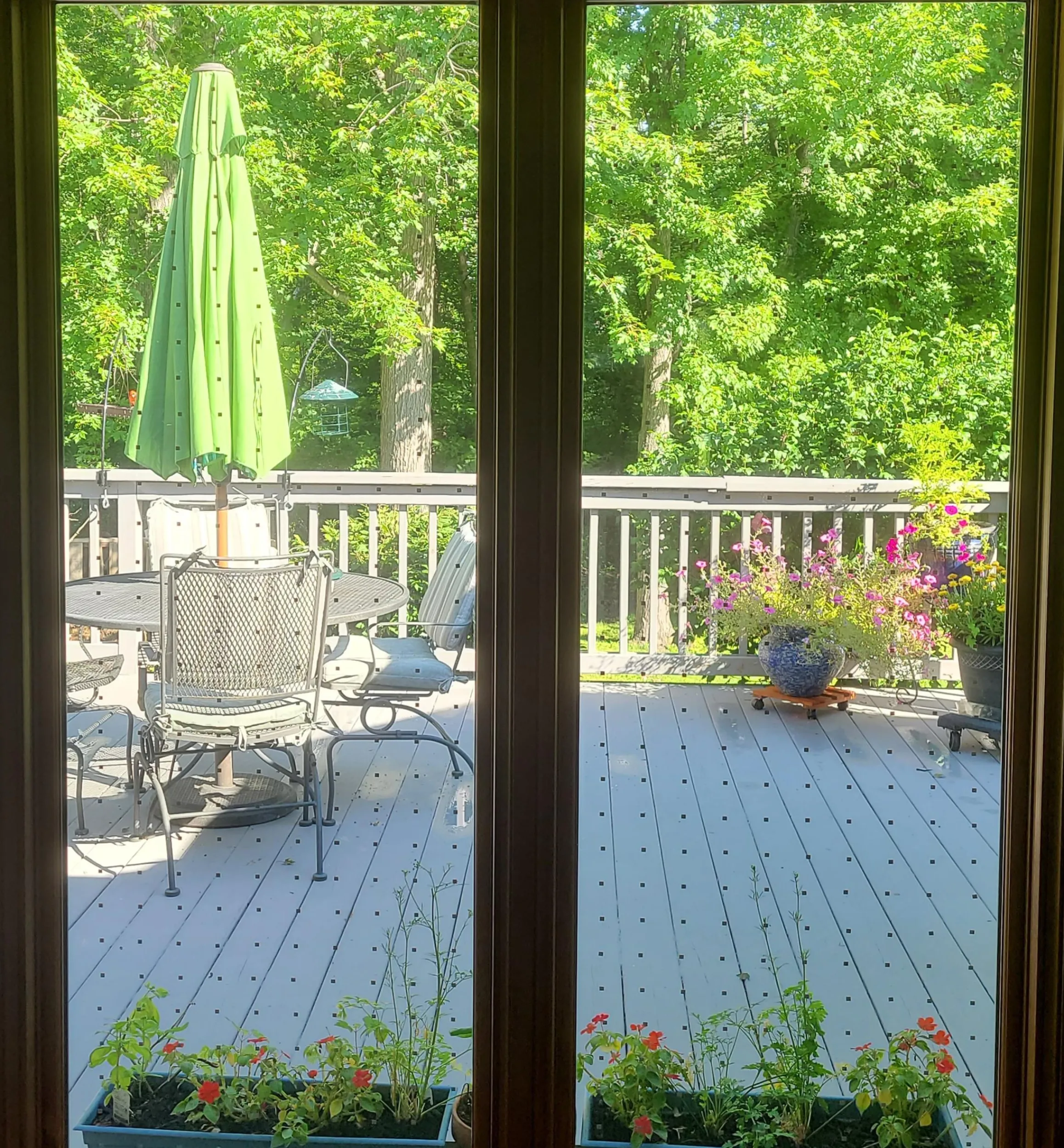 Lee Valley Pest Control>Feather Friendly Window Collision Tape