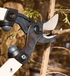 Lee Valley Garden Care>Felco Loppers