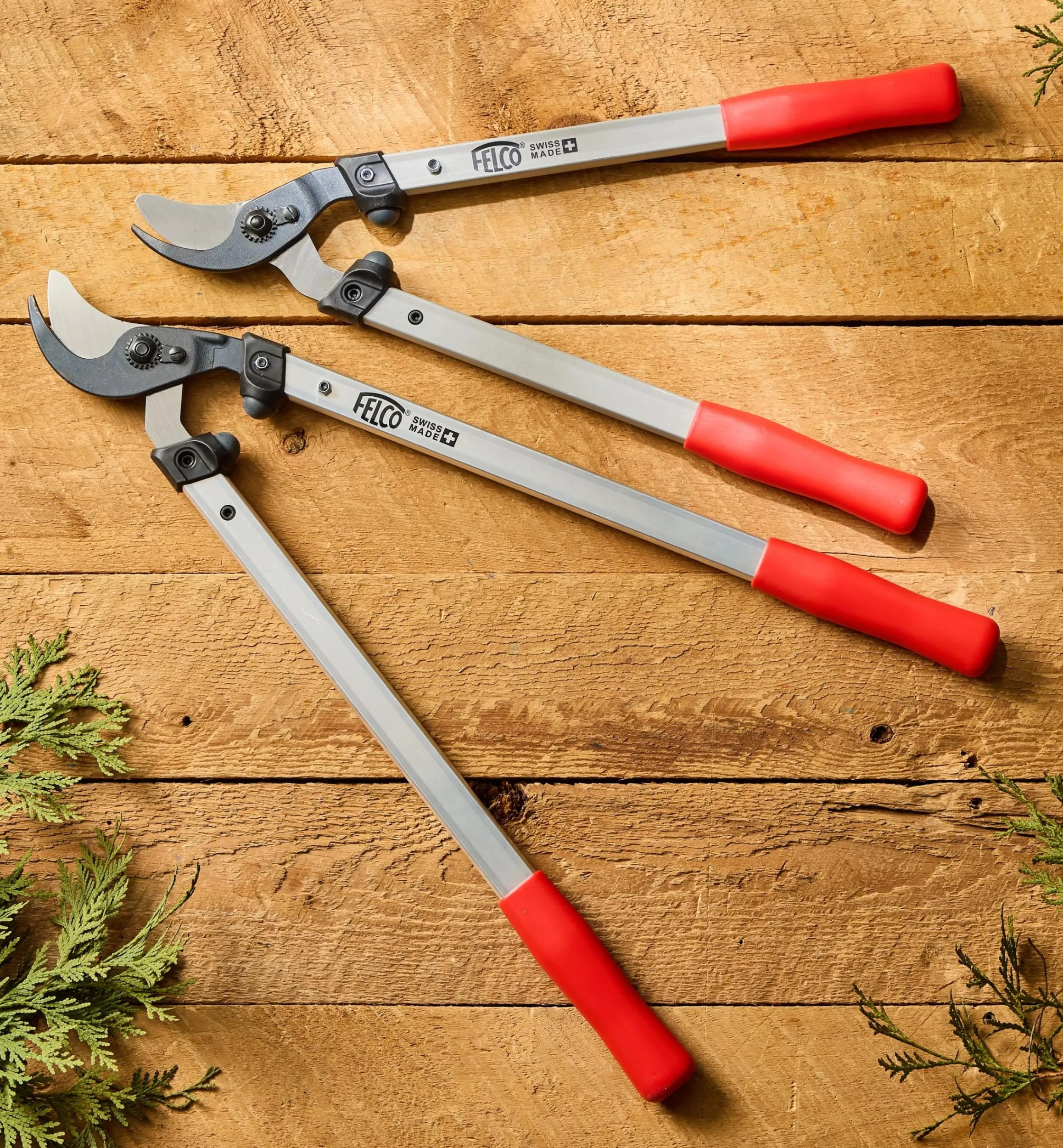 Lee Valley Garden Care>Felco Loppers