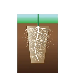 Lee Valley Seed Starting><noscript><img width=