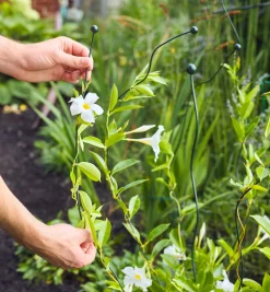 Lee Valley Stakes><noscript><img width=