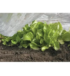 Lee Valley Plant Protection>Floating Row Cover